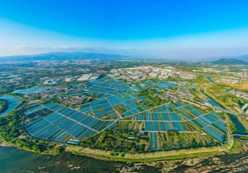 八仙積道共富帶